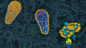 Illustration of HIV particles in the nucleus.